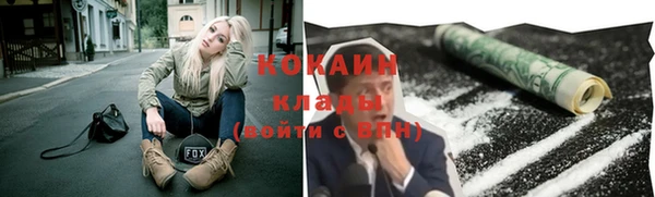 прущие грибы Заволжск