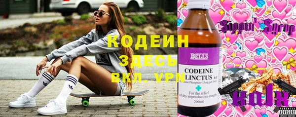 прущие грибы Заволжск