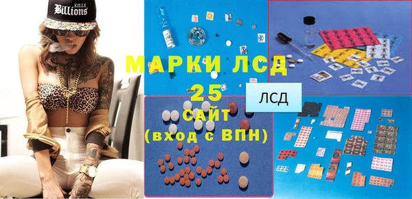 прущие грибы Заволжск