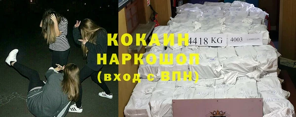 прущие грибы Заволжск