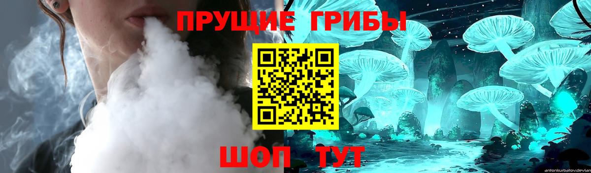 Ишимбай  Псилоцибиновые грибы Magic Shrooms  Псилоцибиновые грибы Cubensis  сколько стоит  Вход с VPN 