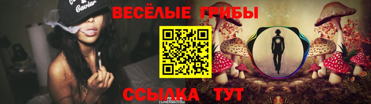 Псилоцибиновые грибы прущие грибы Ишимбай